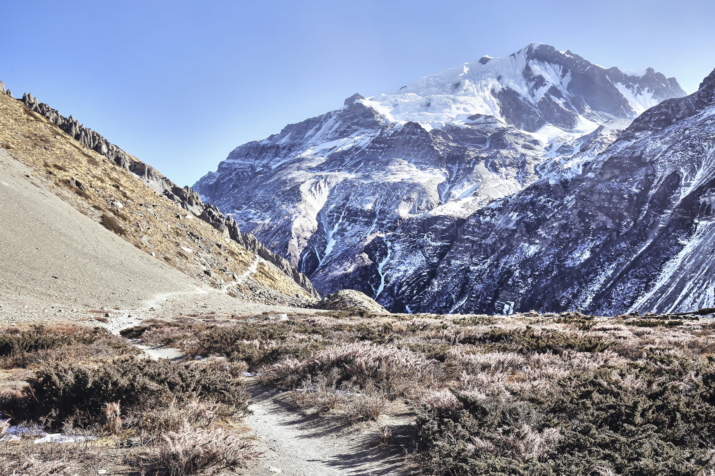 Trail toward snow-capped Himalayan peaks